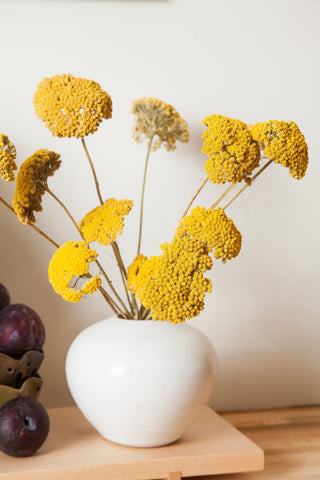 Bunches Dried Yellow Yarrow send a bouquet- the best flower delivery