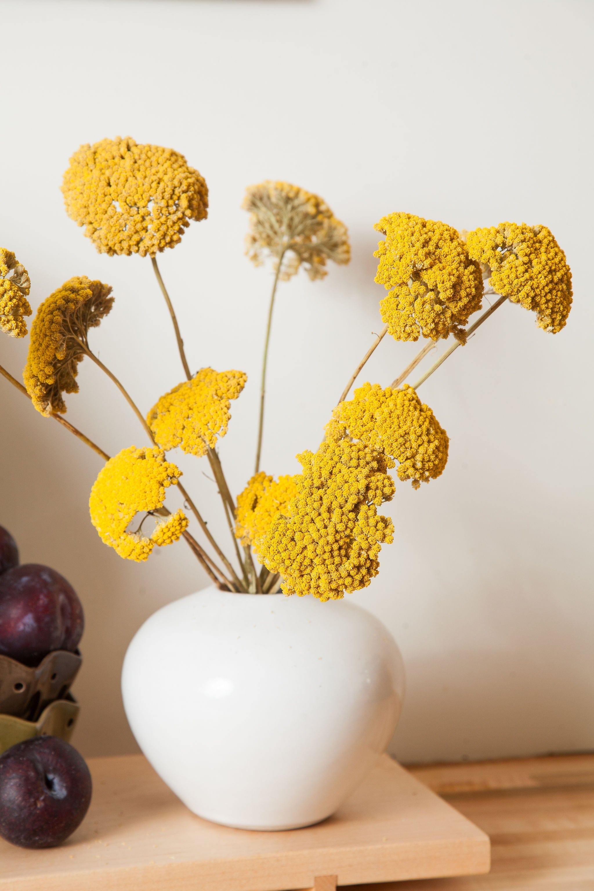 Dried and Preserved Flower Bunches