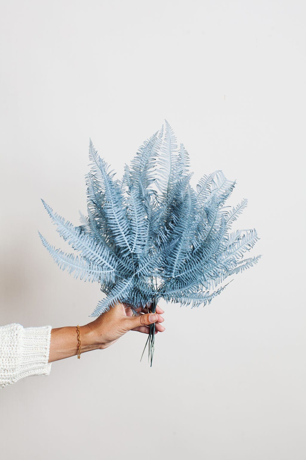 Idlewild Floral Co. Bunches Dusty Blue Star Fern