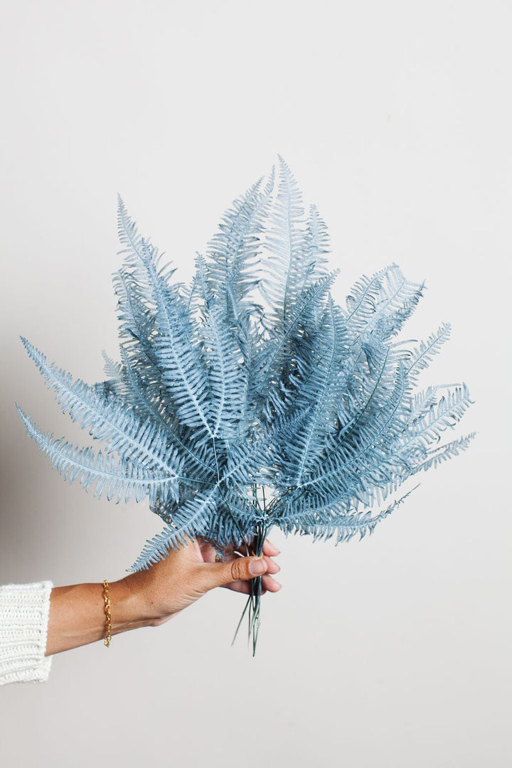 Idlewild Floral Co. Bunches Dusty Blue Star Fern