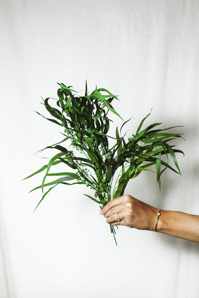 Evergreen Exotica Eucalyptus Idlewild Floral Co.