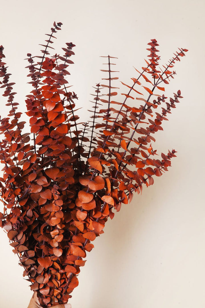 Bunches Fall Cinnamon Eucalyptus send a bouquet- the best flower delivery