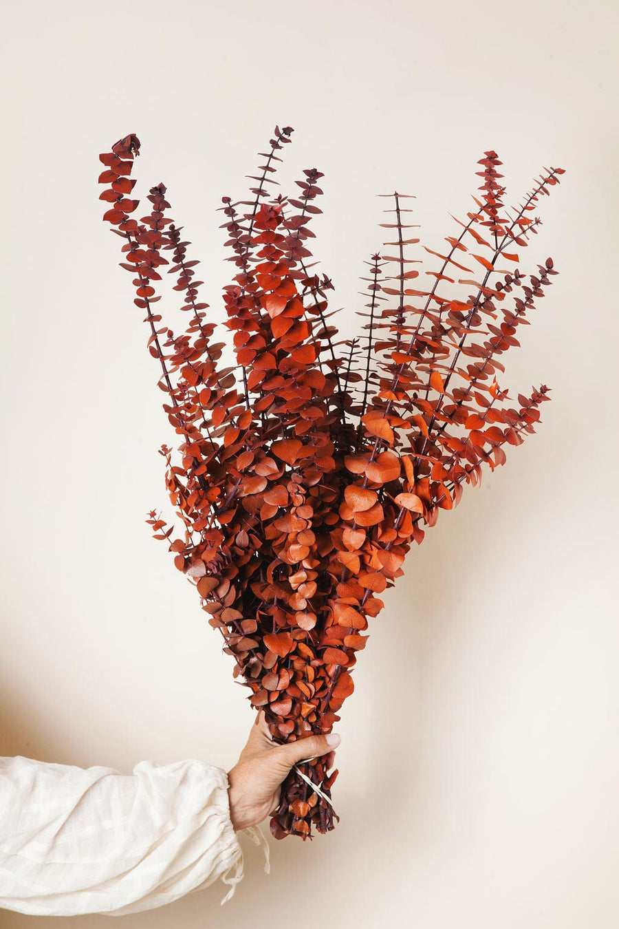 Bunches Fall Cinnamon Eucalyptus send a bouquet- the best flower delivery