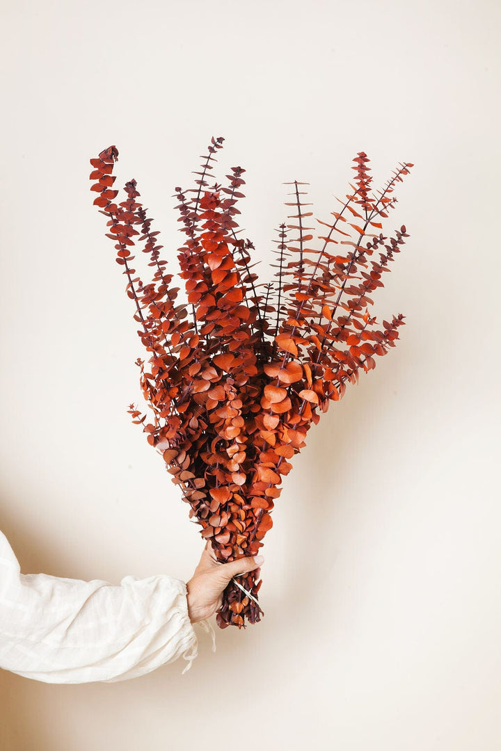 Bunches Fall Cinnamon Eucalyptus send a bouquet- the best flower delivery