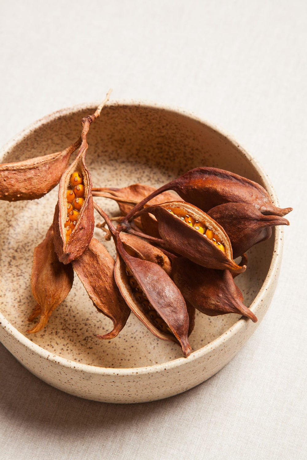 Fall Seed Pods send a bouquet- the best flower delivery