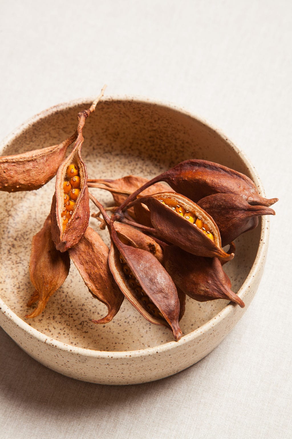 Fall Seed Pods send a bouquet- the best flower delivery