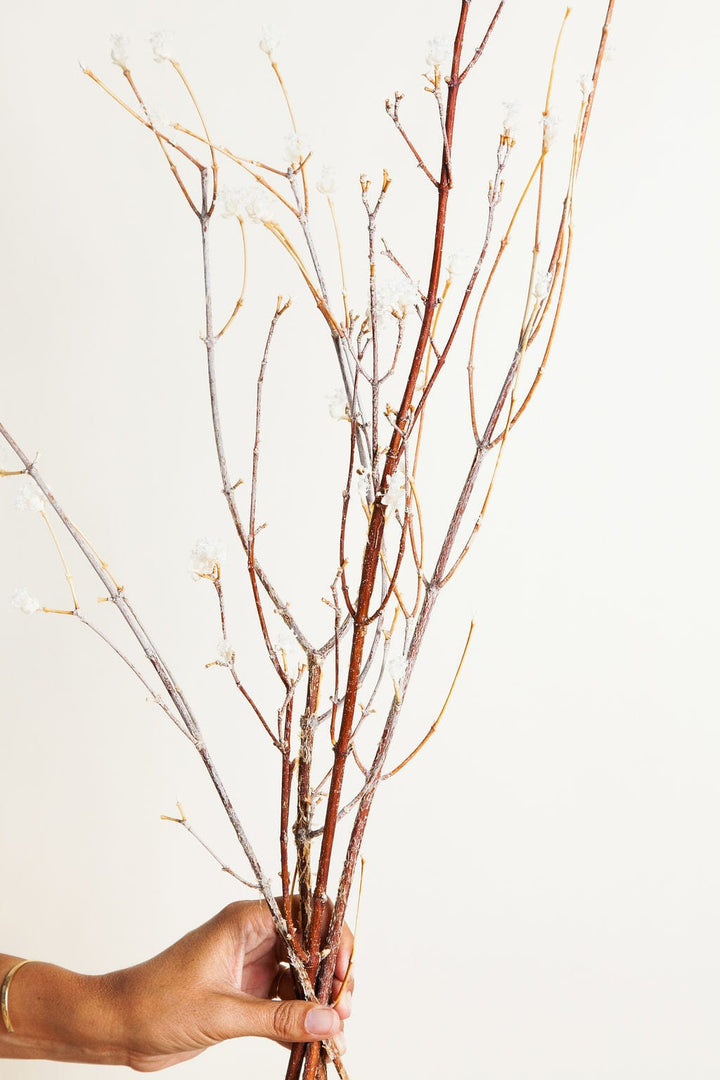 Bunches Flowering Dogwood Branches send a bouquet- the best flower delivery