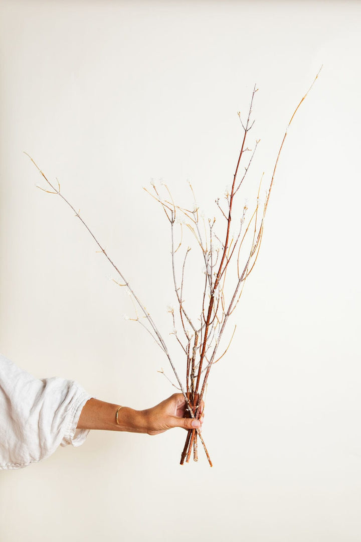 Bunches Flowering Dogwood Branches send a bouquet- the best flower delivery