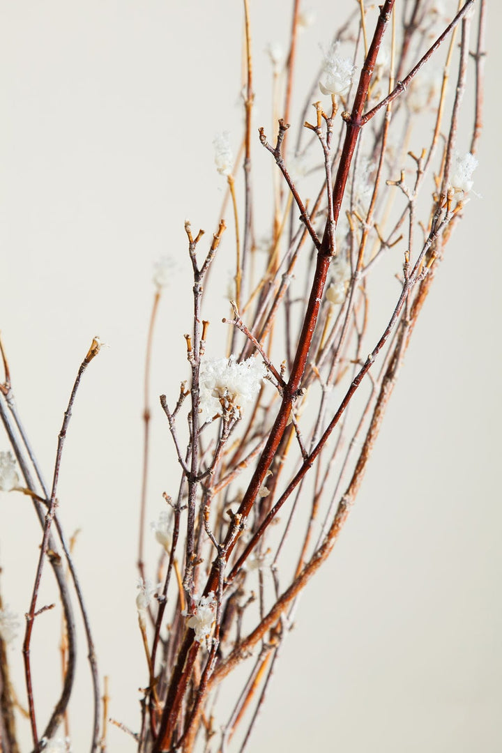Bunches Flowering Dogwood Branches send a bouquet- the best flower delivery