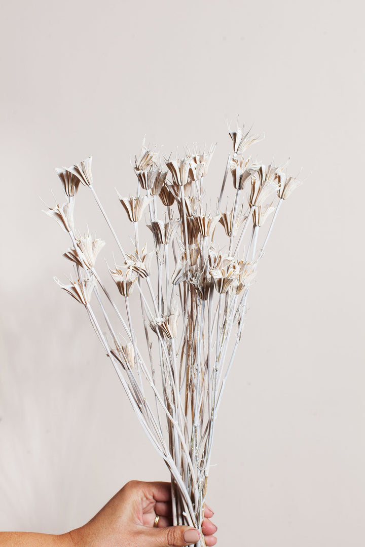 Bunches Frosted Nigella send a bouquet- the best flower delivery