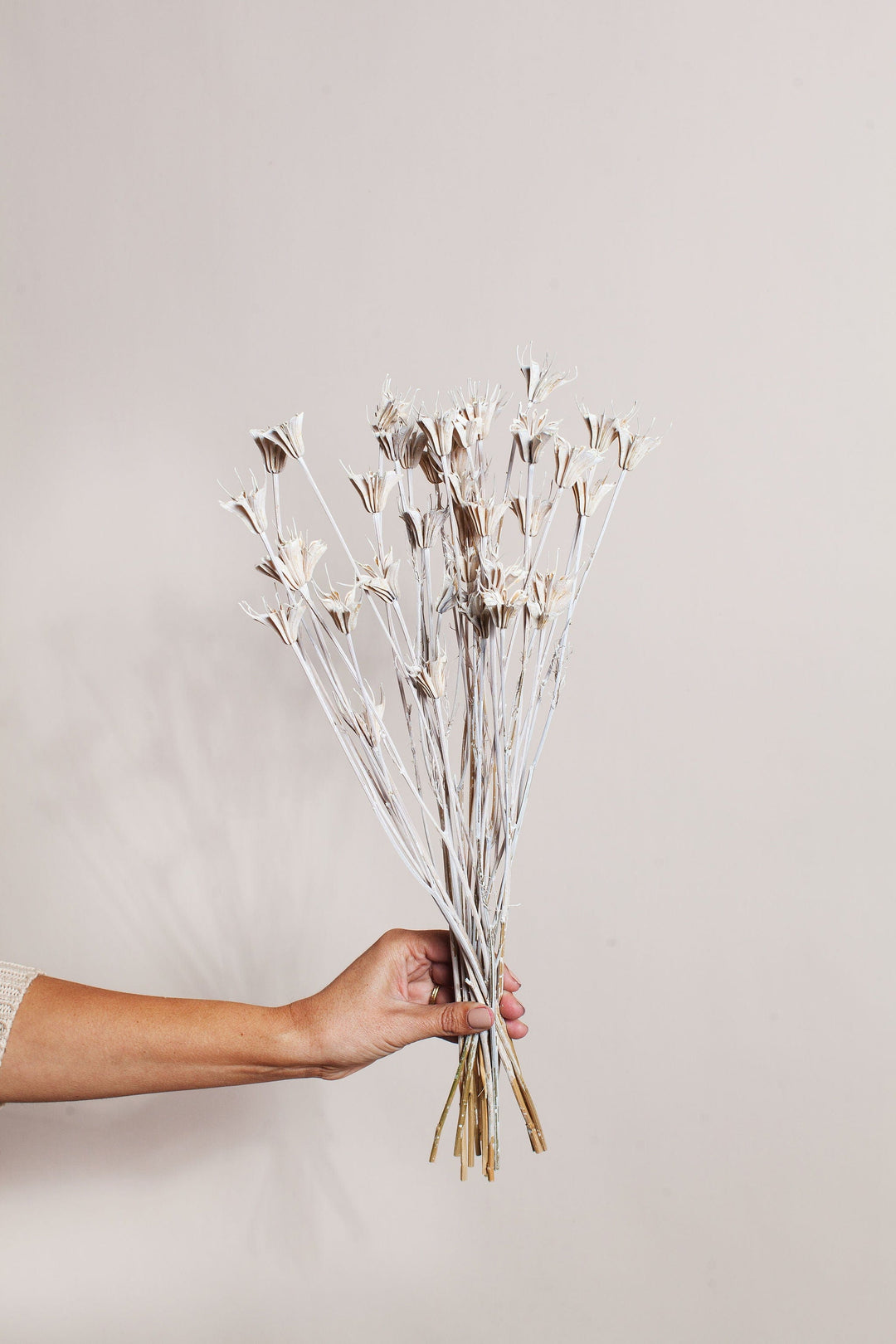 Bunches Frosted Nigella send a bouquet- the best flower delivery