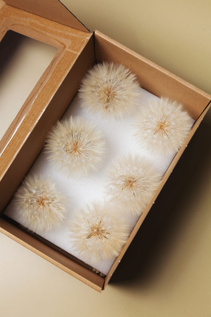 Bunches Giant Dandelions send a bouquet- the best flower delivery