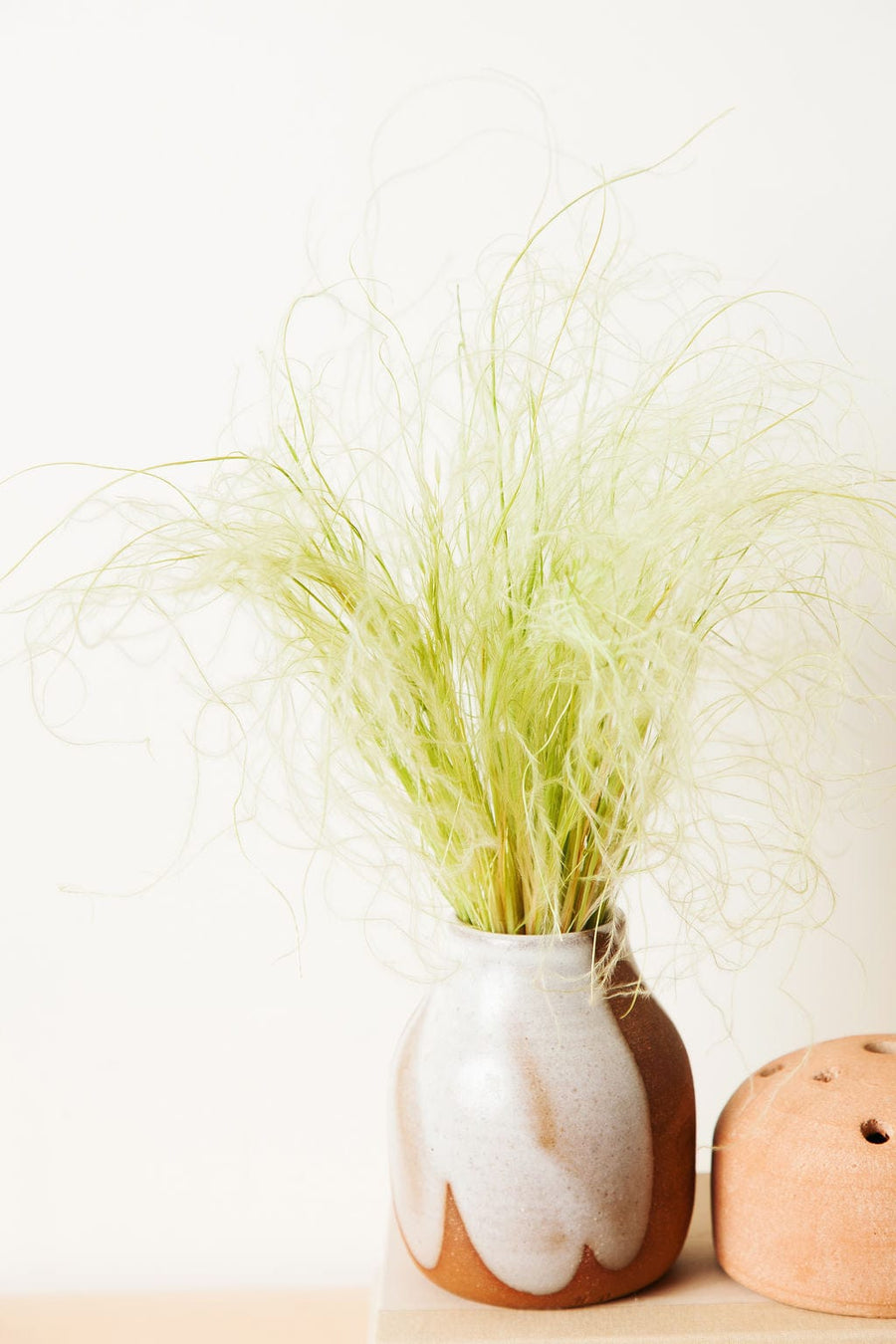 Bunches Green Feather Grass send a bouquet- the best flower delivery