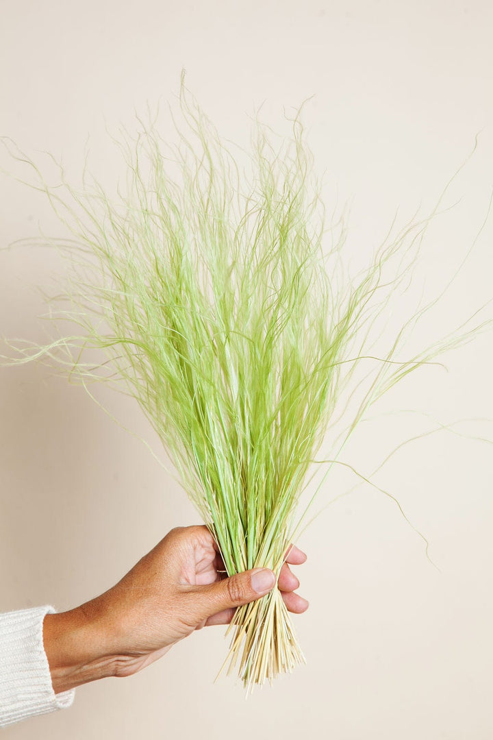 Bunches Green Feather Grass send a bouquet- the best flower delivery