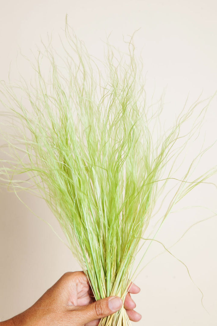 Bunches Green Feather Grass send a bouquet- the best flower delivery