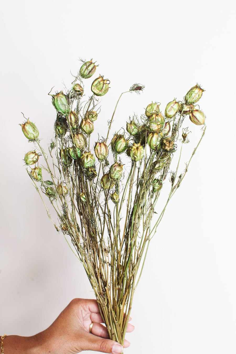 Idlewild Floral Co. Bunches Green Nigella