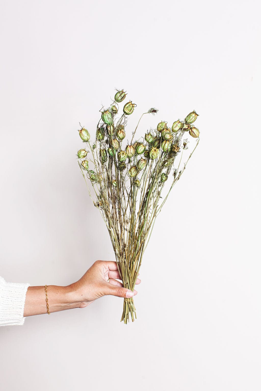 Idlewild Co. Nigella Pods - Thumbnail 4