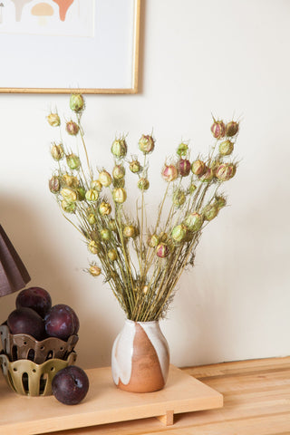 Bunches Green Nigella send a bouquet- the best flower delivery