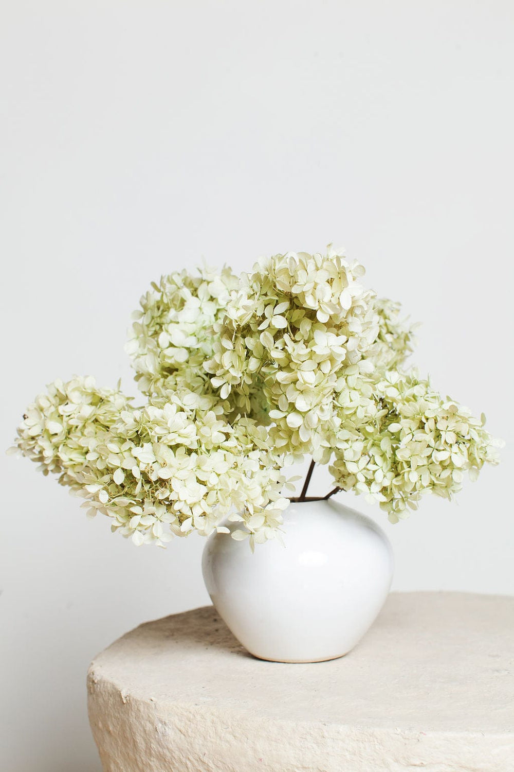 Idlewild Floral Co. Bunches Green Peegee Hydrangea