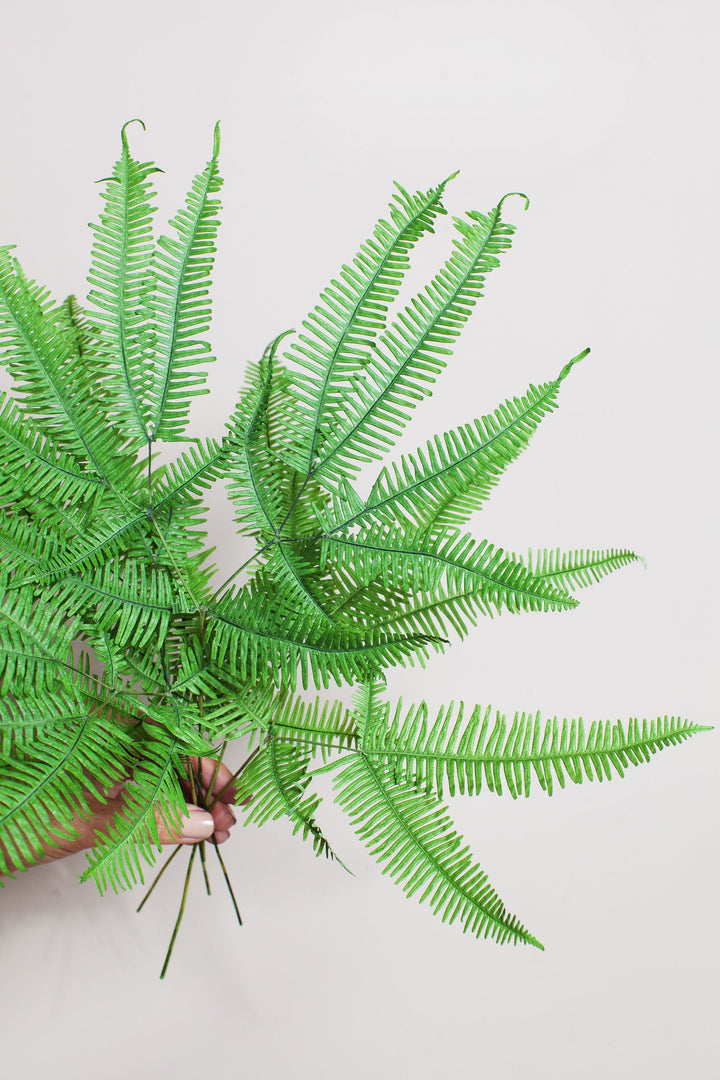 Bunches Green Star Fern send a bouquet- the best flower delivery