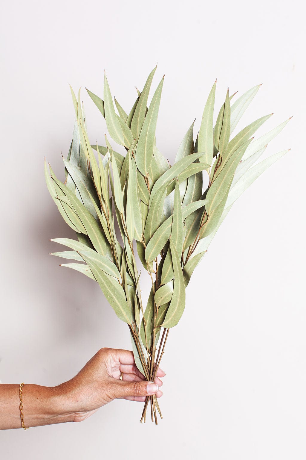 Dried and Preserved Flower Bunches