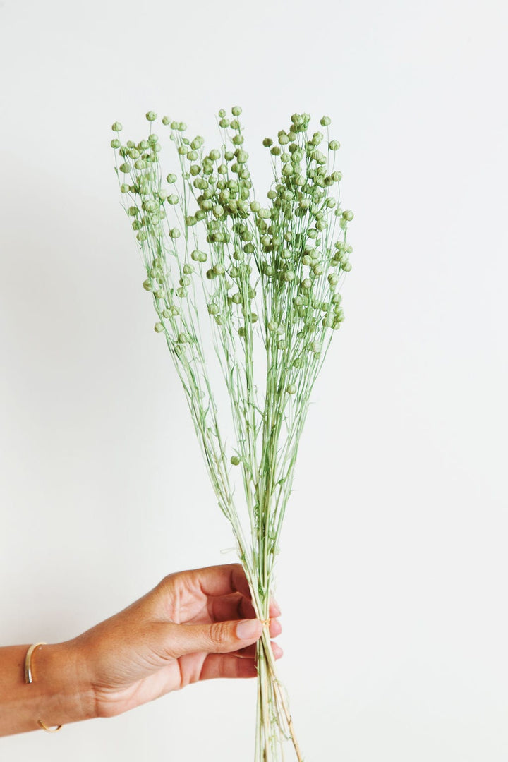 Bunches Ice Green Preserved Flax send a bouquet- the best flower delivery