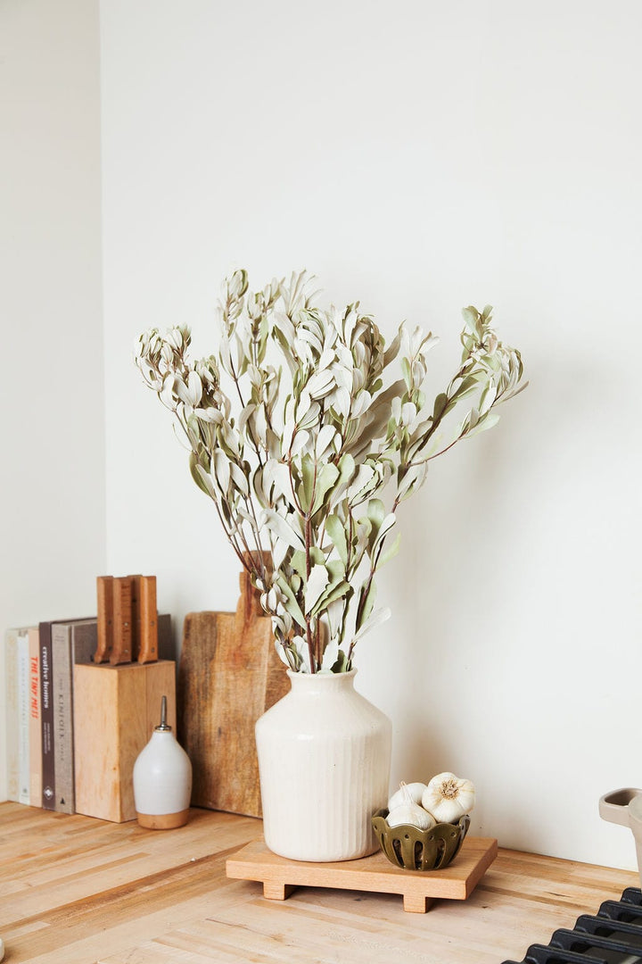 Bunches Integrifolia Foliage send a bouquet- the best flower delivery