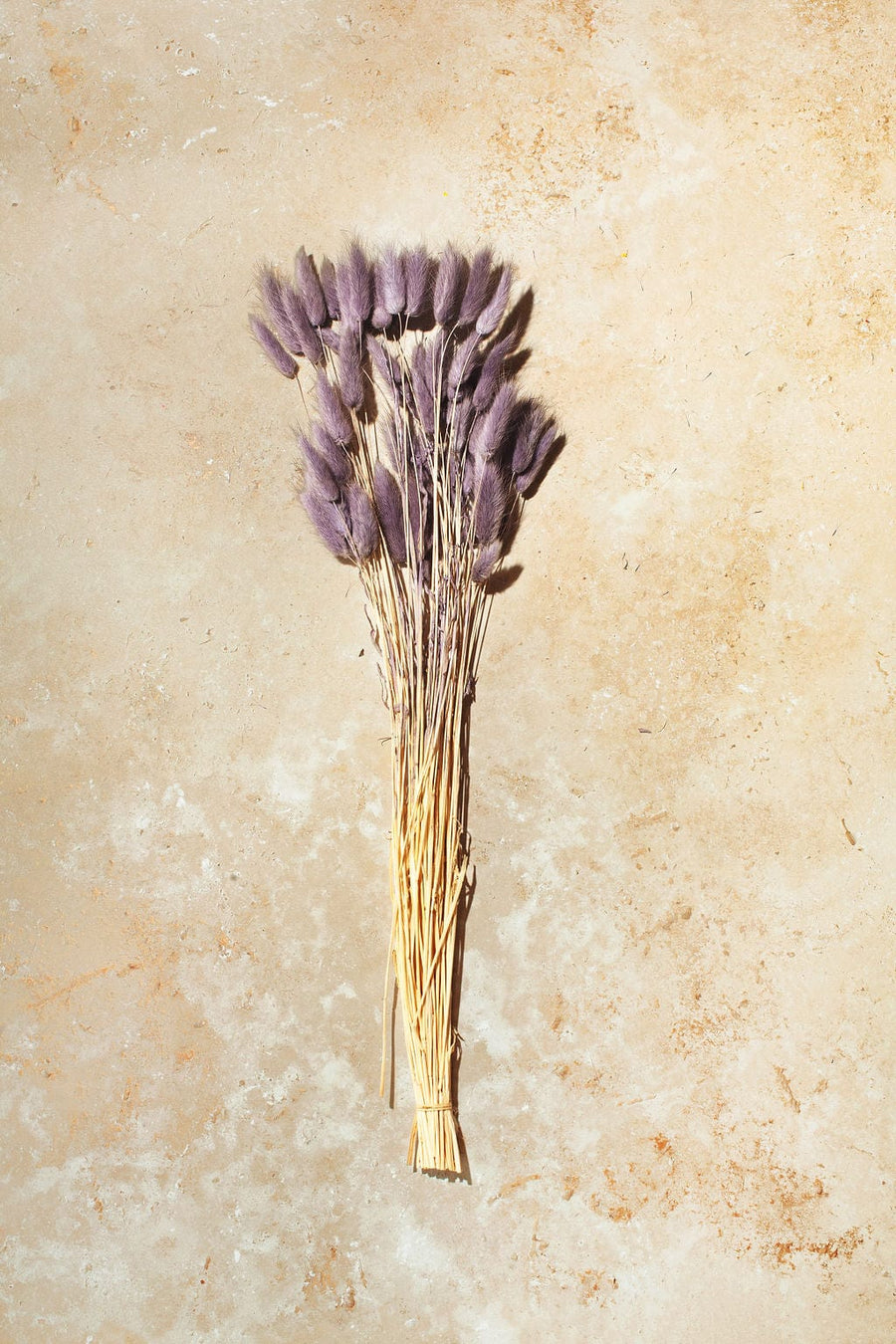Idlewild Floral Co. Lavender Bunny Tail