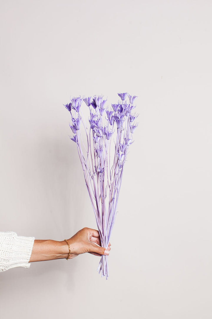 Idlewild Floral Co. Bunches Lavender Dried Nigella