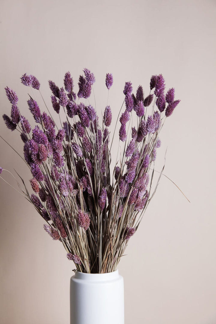 Bunches Lavender Dried Phalaris Grass send a bouquet- the best flower delivery