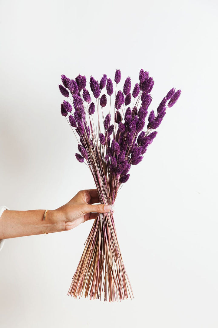 Bunches Lavender Dried Phalaris Grass send a bouquet- the best flower delivery