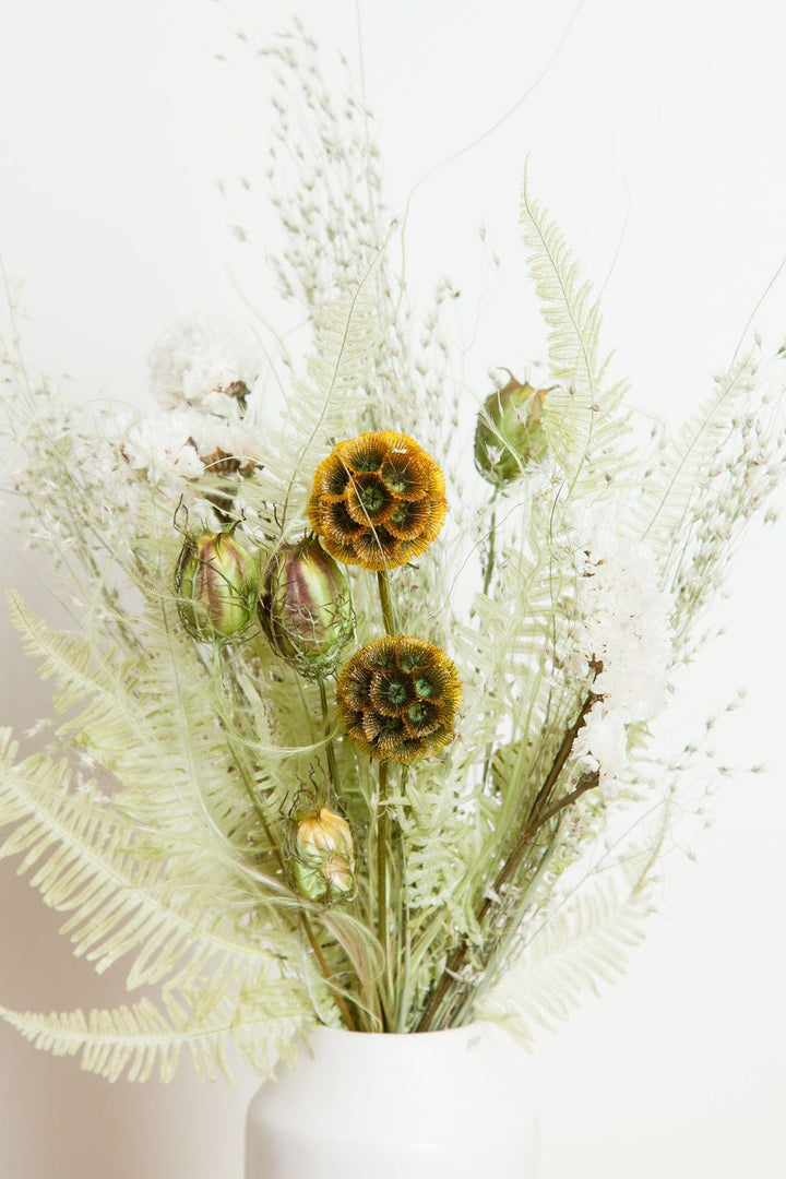 Mini Bouquet of the Month Club send a bouquet- the best flower delivery