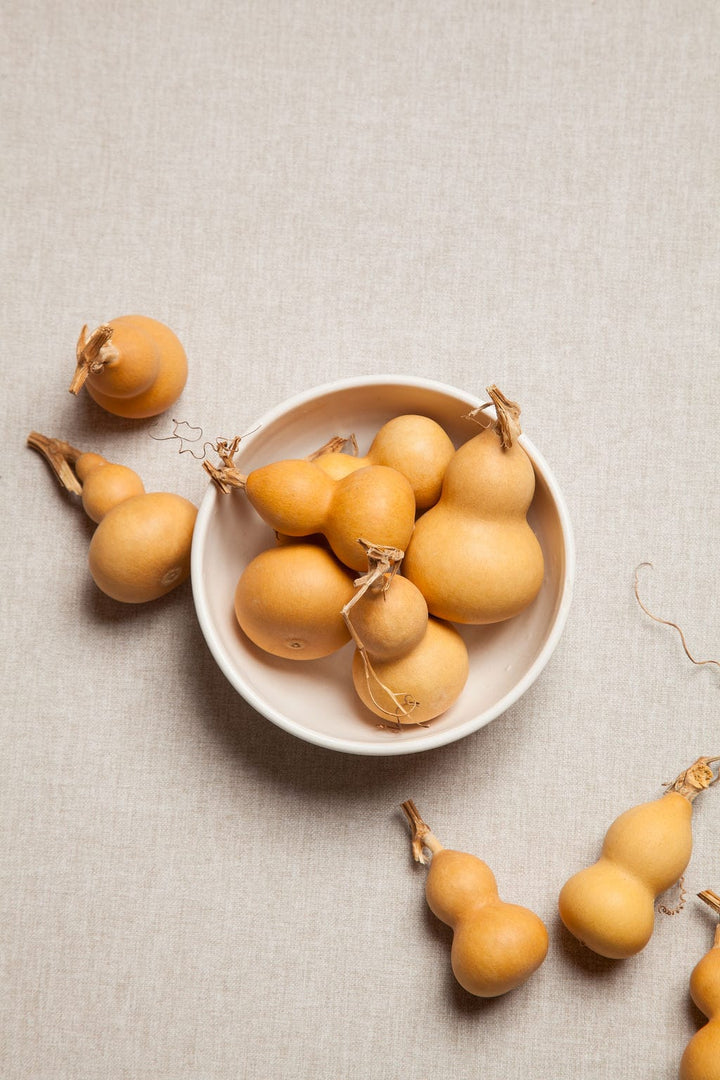 Mini Gourds x 5 send a bouquet- the best flower delivery