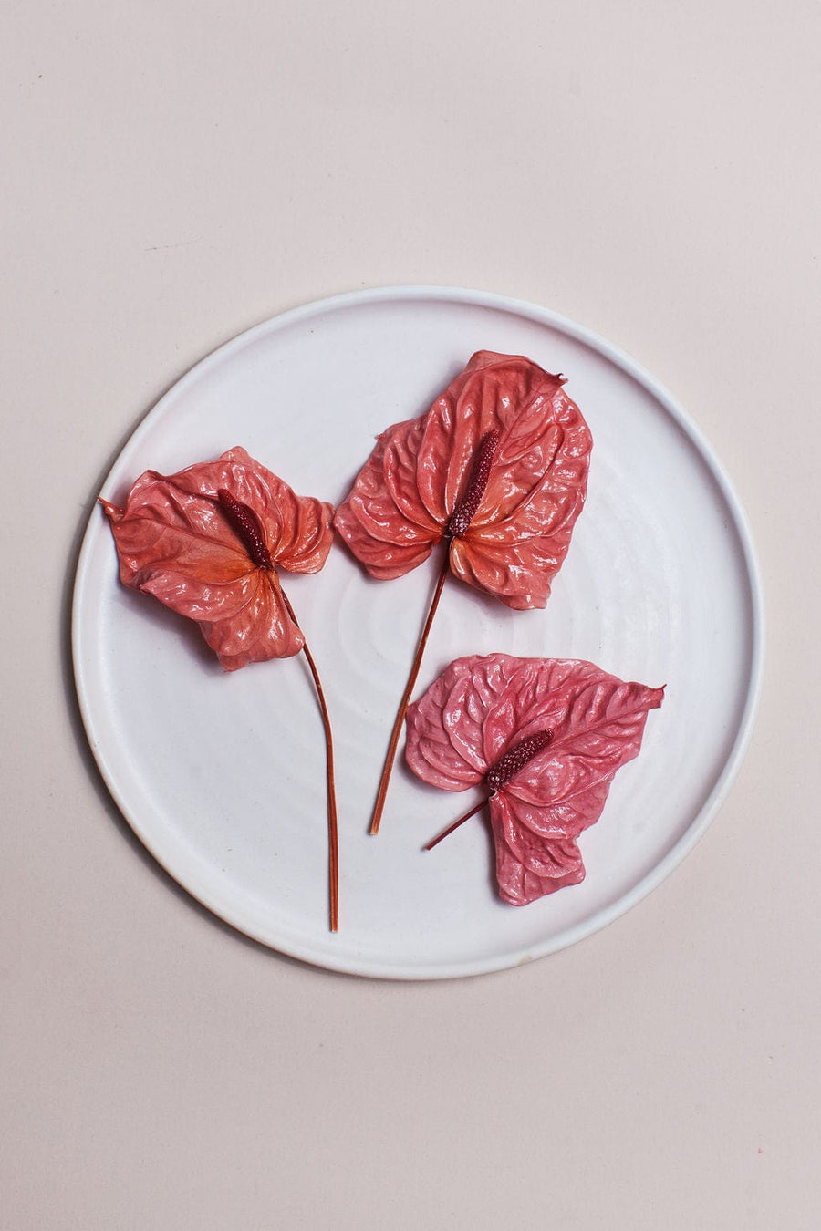 Mini Pink Anthurium send a bouquet- the best flower delivery