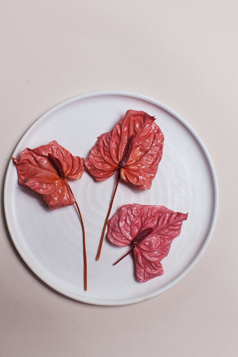 Mini Pink Anthurium send a bouquet- the best flower delivery