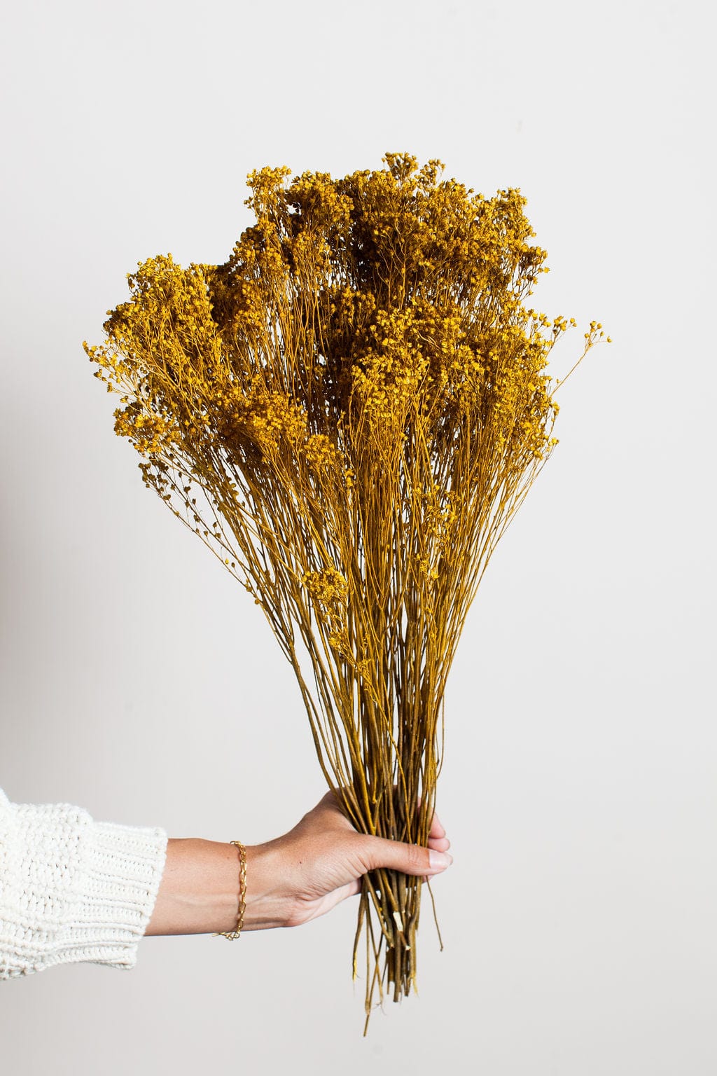 Idlewild Floral Co. Bunches Mustard Broom Bloom