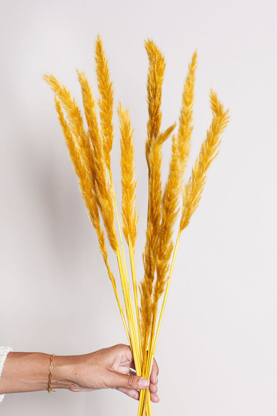 Idlewild Floral Co. Bunches Mustard Pampas Grass