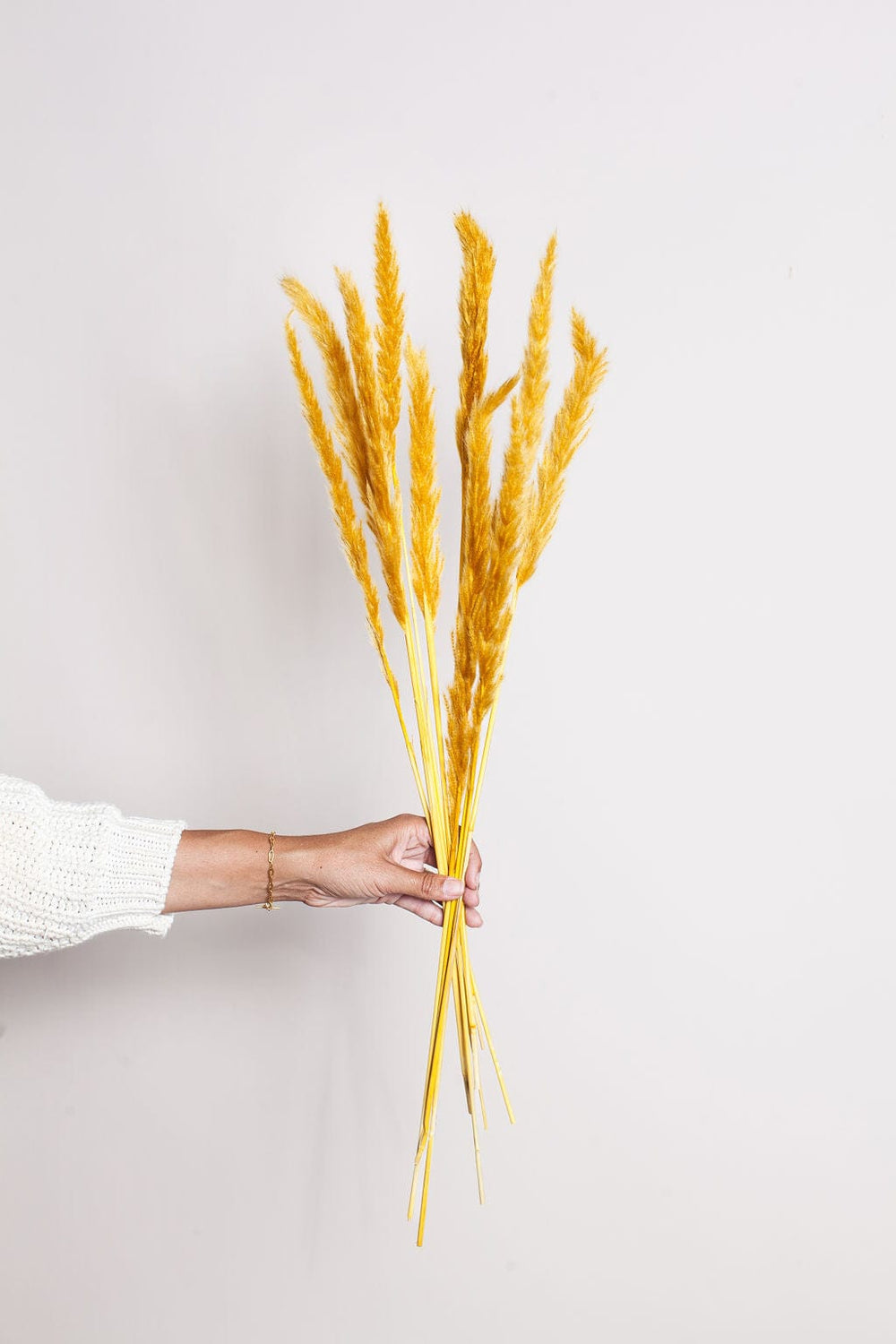 Idlewild Floral Co. Bunches Mustard Pampas Grass