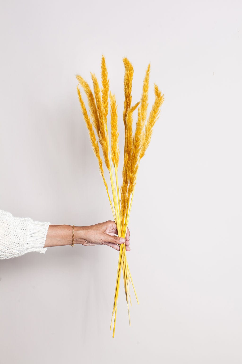 Idlewild Floral Co. Bunches Mustard Pampas Grass