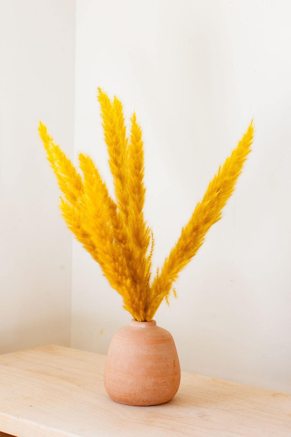 Bunches Mustard Pampas Grass send a bouquet- the best flower delivery