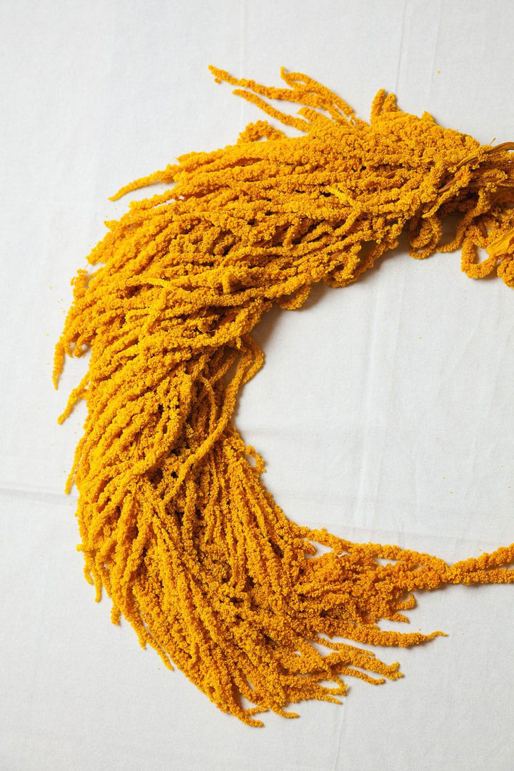 Bunches Mustard Yellow Preserved Hanging Amaranthus send a bouquet- the best flower delivery