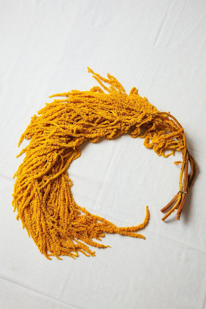 Bunches Mustard Yellow Preserved Hanging Amaranthus send a bouquet- the best flower delivery