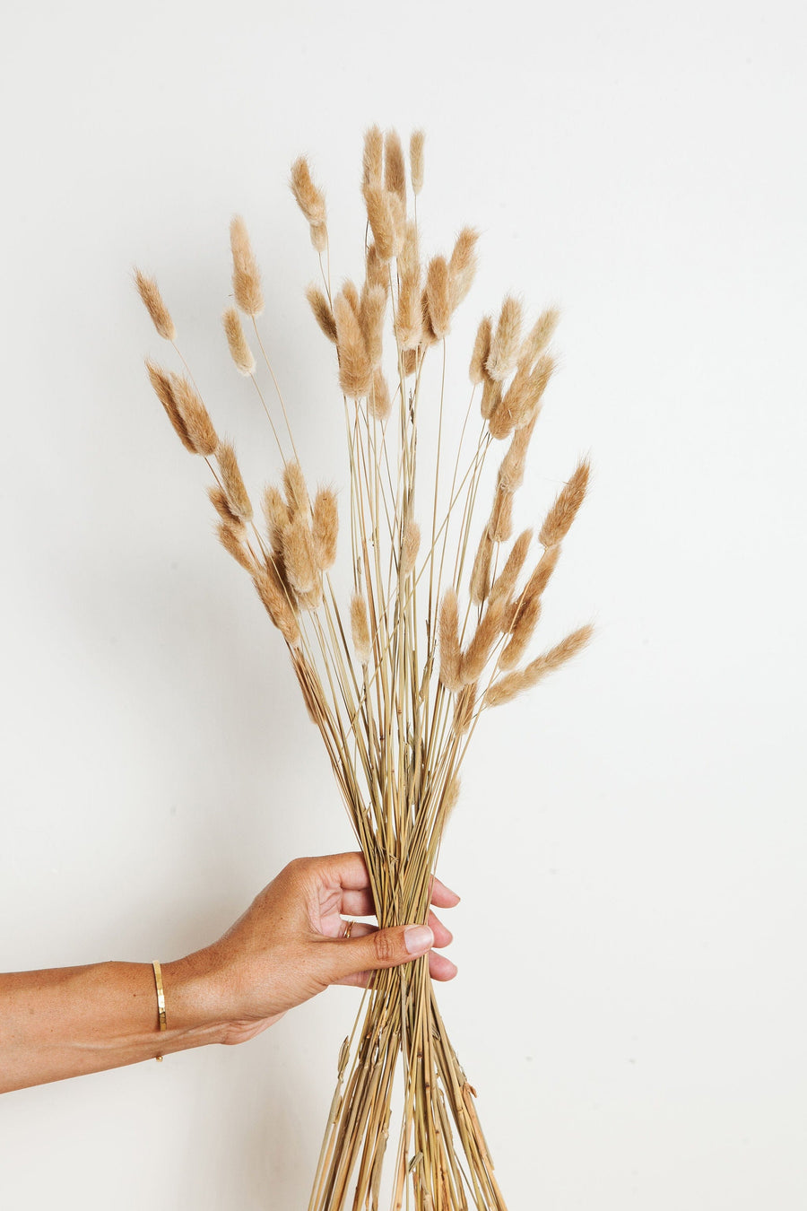 Bunches Natural Dried Bunny Tail Grass send a bouquet- the best flower delivery