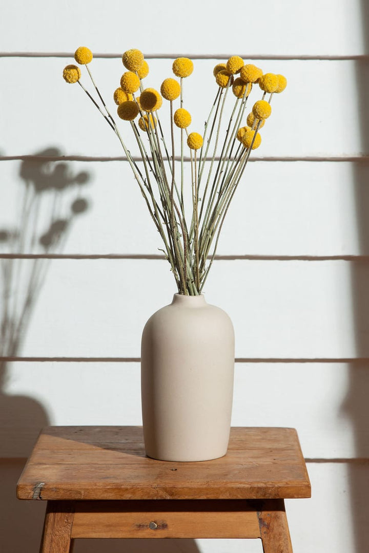 Vase Oat Blossom Vase : Tall send a bouquet- the best flower delivery