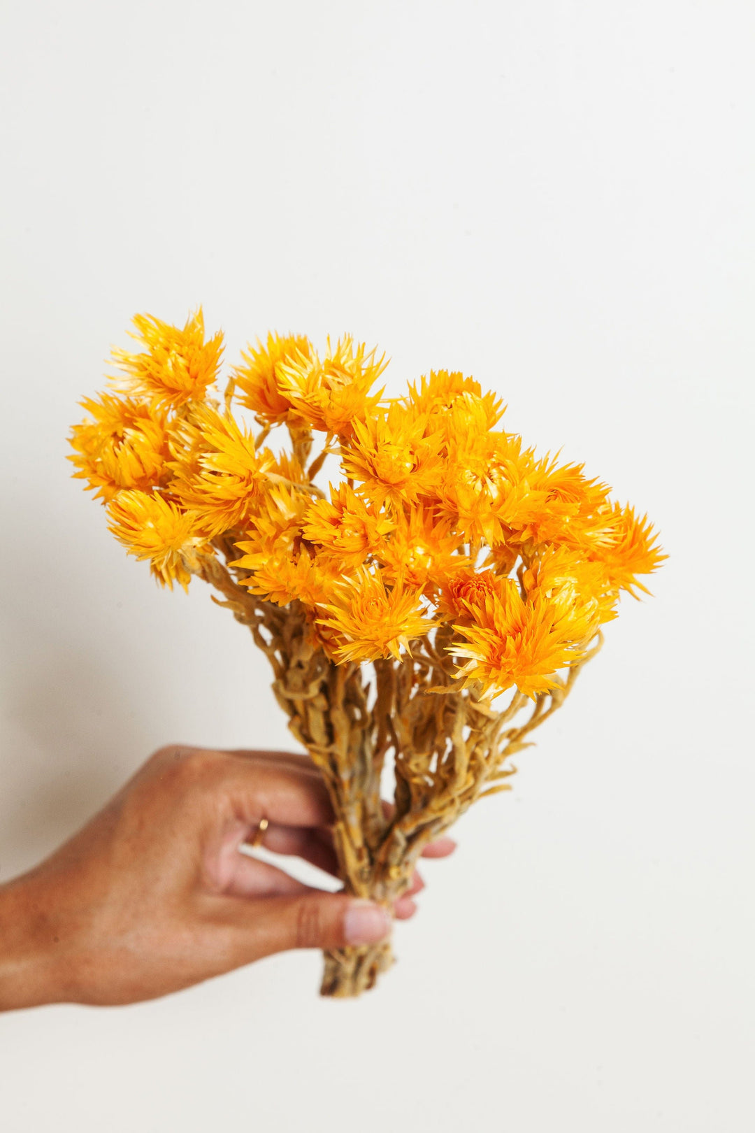Bunches Orange Silver Daisy send a bouquet- the best flower delivery