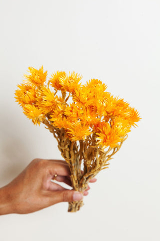 Bunches Orange Silver Daisy send a bouquet- the best flower delivery