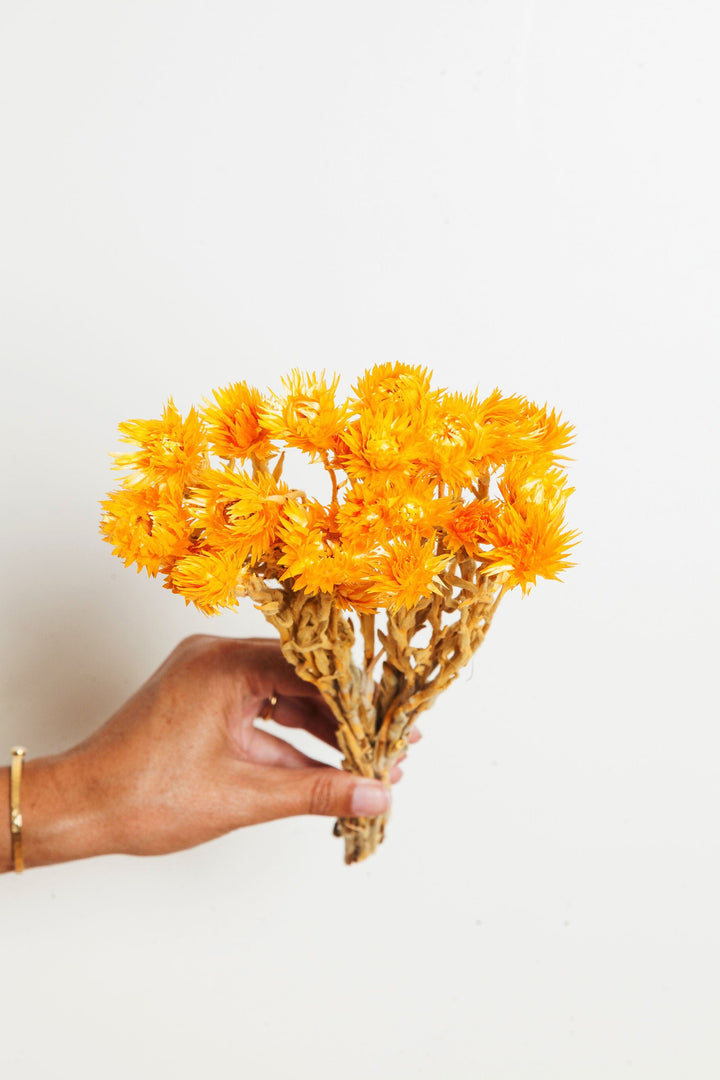 Bunches Orange Silver Daisy send a bouquet- the best flower delivery