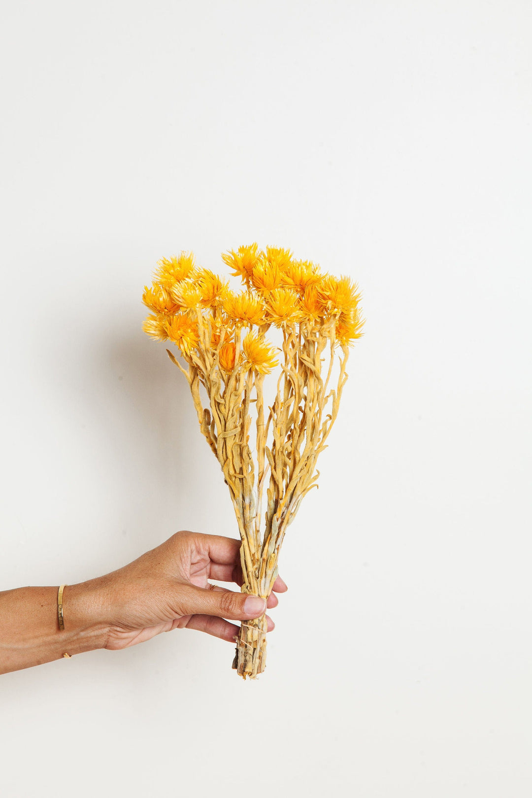 Bunches Orange Silver Daisy send a bouquet- the best flower delivery
