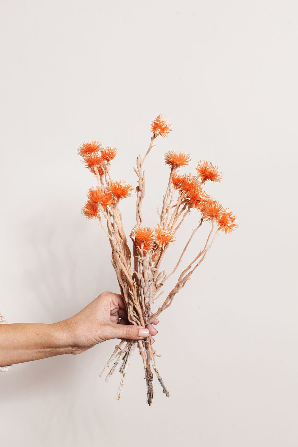 Bunches Orange Silver Daisy send a bouquet- the best flower delivery