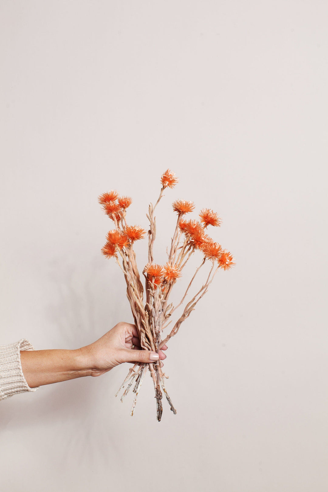 Bunches Orange Silver Daisy send a bouquet- the best flower delivery